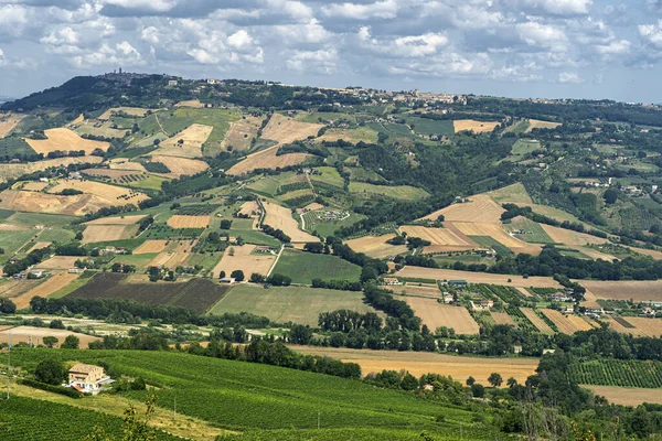 Αγροτικό Τοπίο Καλοκαίρι Κοντά Στο Montefiore Dell Aso Ascoli Piceno — Φωτογραφία Αρχείου