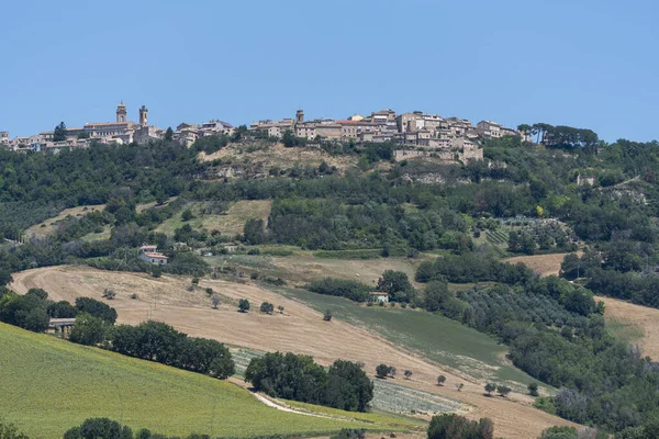 Venkovská Krajina Létě Poblíž Monterubbiano Fermo Marches Itálie — Stock fotografie