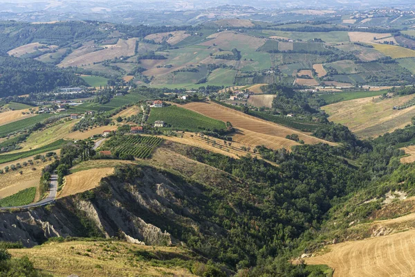 Ländliche Landschaft Sommer Von Ripatransone Ascoli Piceno Marken Italien — Stockfoto