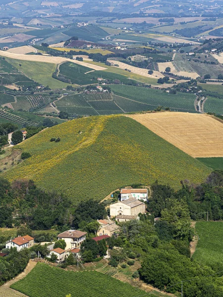 Paisagem Rural Verão Ripatransone Ascoli Piceno Marchas Itália — Fotografia de Stock