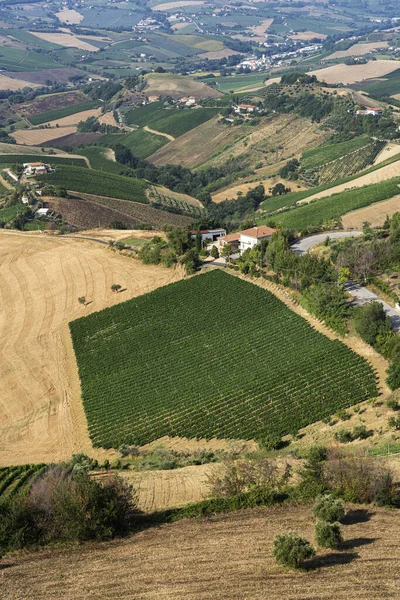 リパトラノーネ アスコリ ピエーノ イタリアから夏の農村風景 — ストック写真