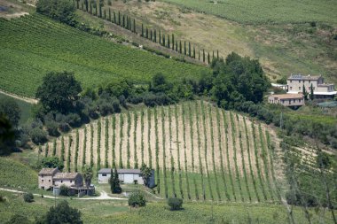 Yazın Petritoli, Fermo, Marches, İtalya yakınlarındaki kırsal alan