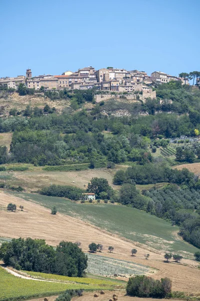Paesaggio Rurale Estate Vicino Monterubbiano Fermo Marche Italia — Foto Stock