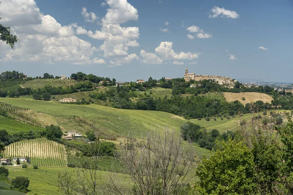 Rural Landscape Summer Monterubbiano Fermo Marches Italy — Stock Photo, Image