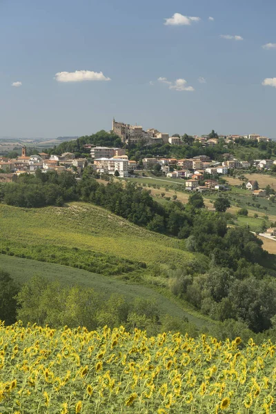 Paisaje Rural Verano Cerca Montegiorgio Fermo Marcas Italia — Foto de Stock