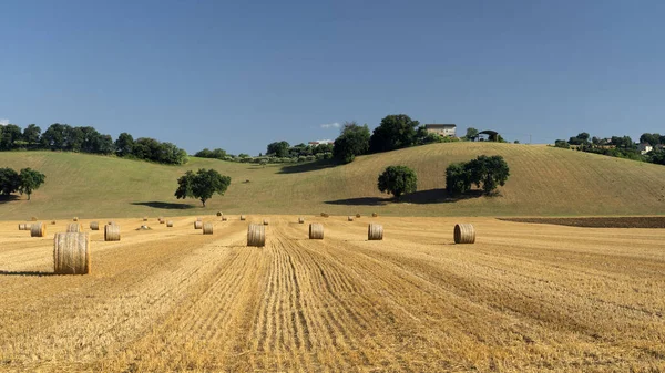 Ländliche Landschaft Sommer Der Nähe Von Petriolo Macerata Marken Italien — Stockfoto