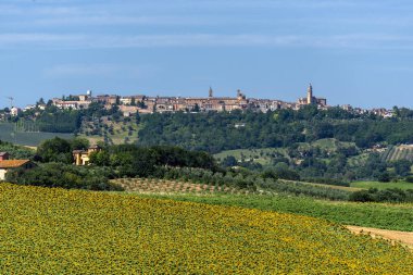 Yazın Treia, Macerata, Marches, İtalya yakınlarındaki kırsal alan