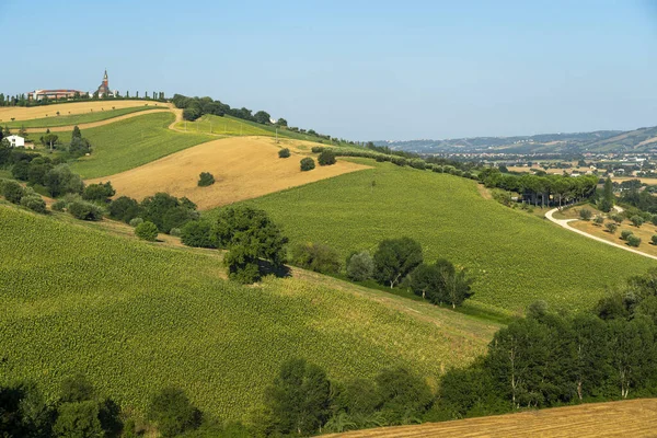 Rural Landscape Summer Macerata Marches Italy — Stock Photo, Image