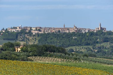 Yazın Treia, Macerata, Marches, İtalya yakınlarındaki kırsal alan