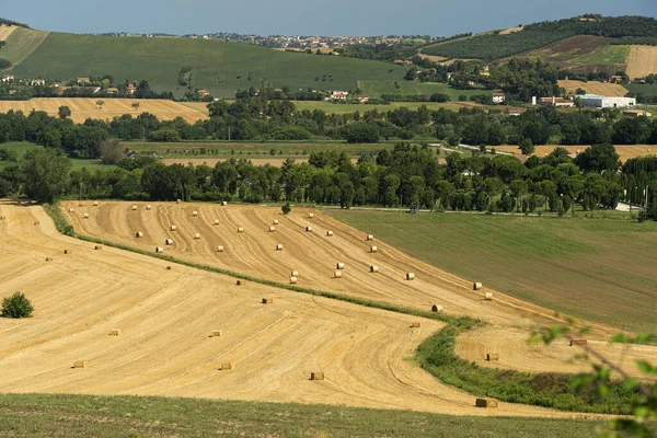 Сельский Пейзаж Летом Возле Мачераты Марши Италия — стоковое фото