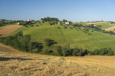 Yazın Macerata, Marches, İtalya yakınlarındaki kırsal alan