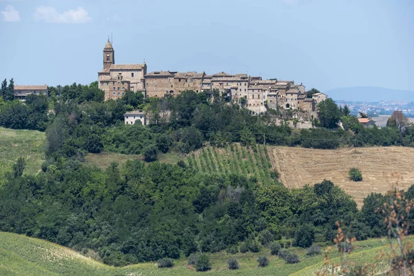 Petritoli Fermo Marches Italy View Historic Village — Stockfoto
