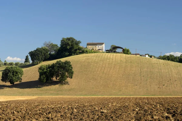 Landelijk Landschap Zomer Bij Petriolo Macerata Marken Italië — Stockfoto