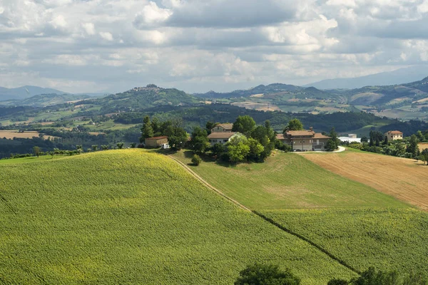 Сельский Пейзаж Летом Рядом Montegiorgio Fermo Марши Италия — стоковое фото