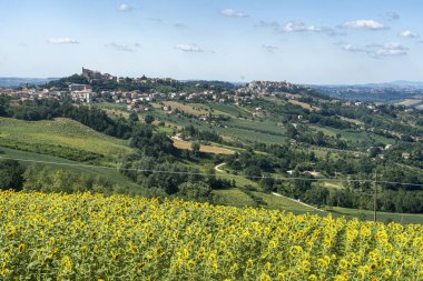 Yazın Montegiorgio, Fermo, Marches, İtalya yakınlarındaki kırsal alan