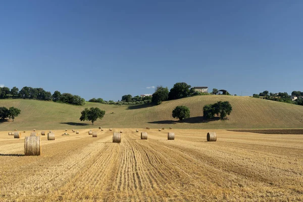 Paisaje Rural Verano Cerca Petriolo Macerata Marcas Italia —  Fotos de Stock