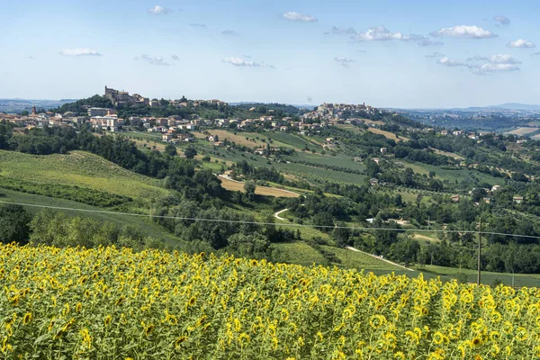 Ländliche Landschaft Sommer Der Nähe Von Montegiorgio Fermo Marken Italien — Stockfoto