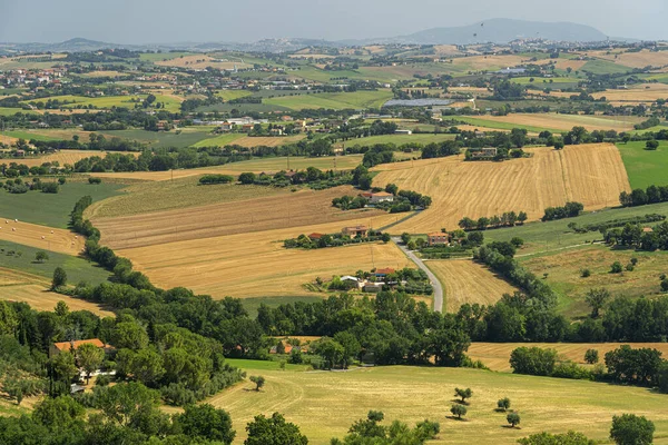 Landsbygdslandskap Sommaren Från Treia Macerata Marches Italien — Stockfoto