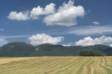 Yazın Fabriano, Ancona, Marche, İtalya yakınlarındaki kırsal alan
