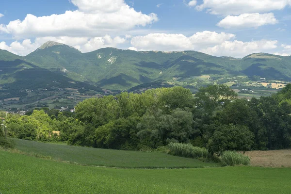 Сельский Пейзаж Рядом Фабриано Анкона Марке Италия Летом — стоковое фото