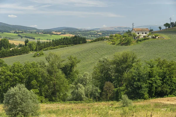 Landsbygdslandskap Nära Fabriano Ancona Marche Italien Sommaren — Stockfoto