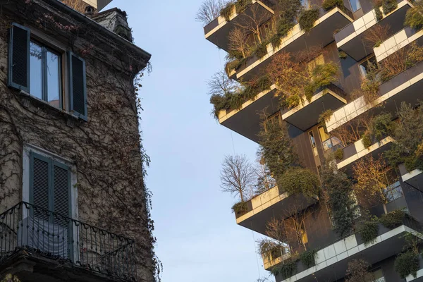 Bosco Verticale Milan Lombardy Talya Bitkileri Olan Modern Kuleler — Stok fotoğraf