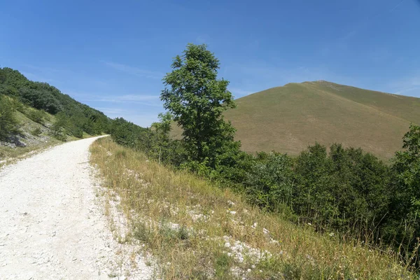 Mountain Landscape Monte Cucco Fabriano Ancona Marche Italy Summer — Stock Photo, Image