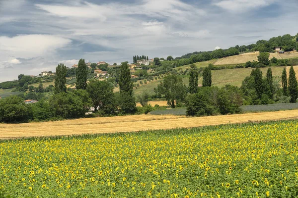 Rural Landscape Summer Gubbio Perugia Umbria Italy — Stock Photo, Image