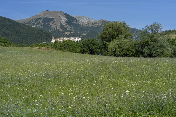 Paisagem Montanhosa Perto Monte Cucco Fabriano Ancona Marche Itália Verão — Fotografia de Stock