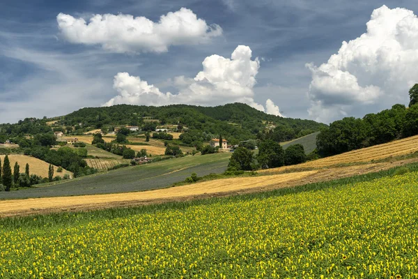 Rural Landscape Summer Gubbio Perugia Umbria Italy — Stock Photo, Image