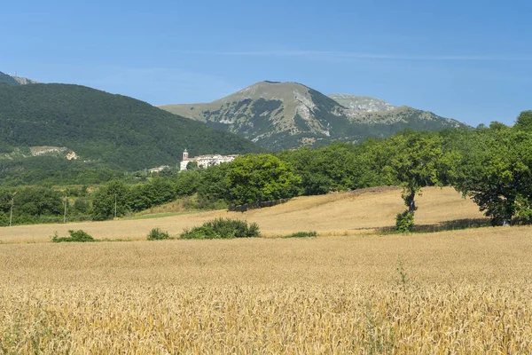 Paisagem Montanhosa Perto Monte Cucco Fabriano Ancona Marche Itália Verão — Fotografia de Stock