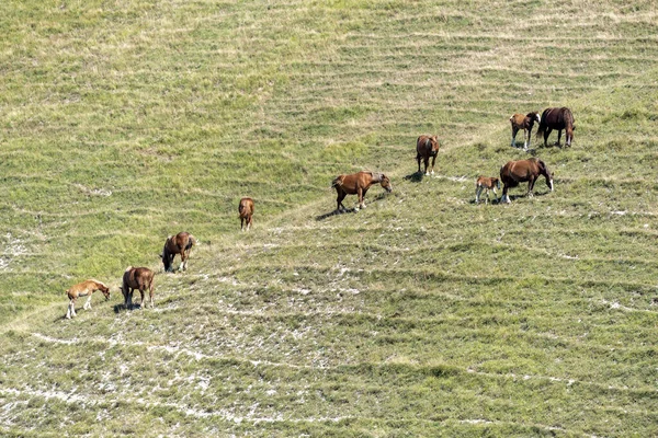 Ορεινό Τοπίο Κοντά Στο Monte Cucco Μεταξύ Marche Και Umbria — Φωτογραφία Αρχείου