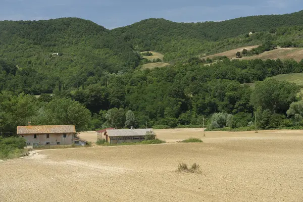 Krajobraz Wiejski Lecie Pobliżu Gubbio Perugia Umbria Włochy — Zdjęcie stockowe