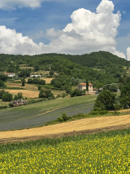 Paysage Rural Été Près Gubbio Pérouse Ombrie Italie — Photo