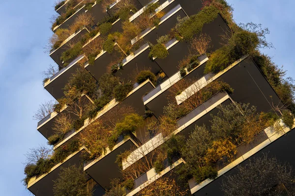 Bosco Verticale Milan Lombardy Talya Bitkileri Olan Modern Kuleler — Stok fotoğraf