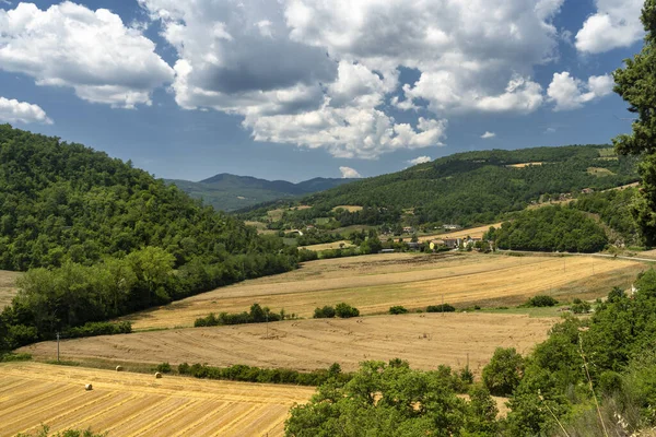 Letni Krajobraz Wzdłuż Drogi Umbertide Monte Santa Maria Tiberina Perugia — Zdjęcie stockowe