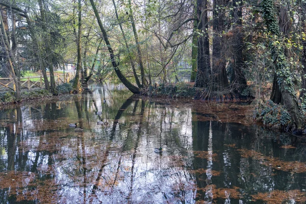 Μιλάνο Λομβαρδία Ιταλία Δημόσιο Πάρκο Giardini Indro Montanelli Φθινόπωρο Νοέμβριος — Φωτογραφία Αρχείου