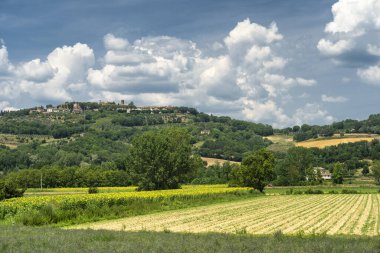Monterchi, Arezzo, Toskana, İtalya yakınlarındaki yaz manzarası