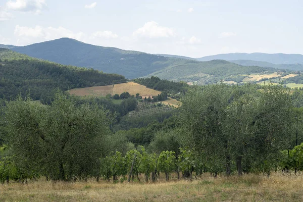 Paisaje Verano Por Carretera Umbertide Monte Santa Maria Tiberina Perugia —  Fotos de Stock