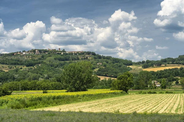 Sommarlandskap Nära Monterchi Arezzo Toscana Italien — Stockfoto
