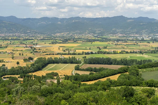 Paisagem Verão Citerna Arezzo Toscana Itália — Fotografia de Stock