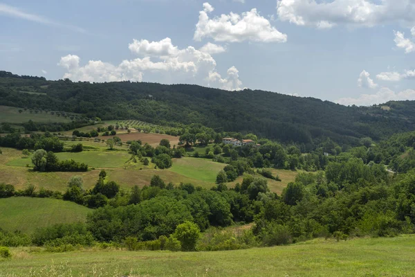 从Umbertide到意大利Umbria Perugia Santa Maria Tiberina山的夏季风景 — 图库照片