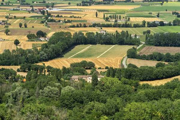 Letni Krajobraz Citerna Arezzo Toskania Włochy — Zdjęcie stockowe