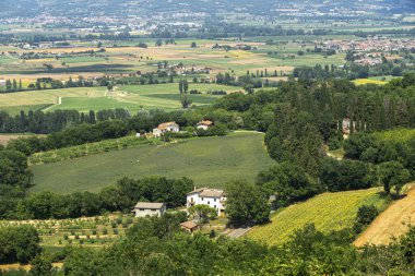 Citerna, Arezzo, Toskana, İtalya 'dan yaz manzarası