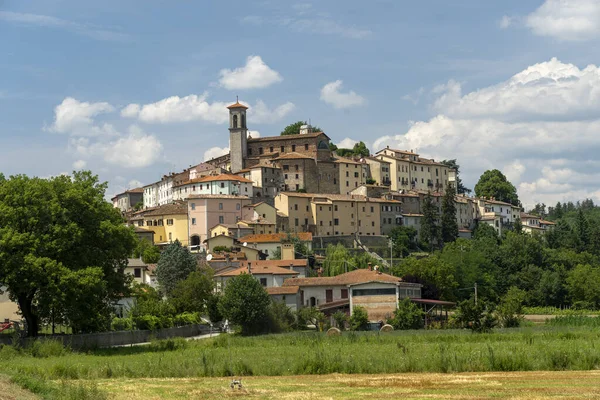 Summer Landscape Monterchi Arezzo Tuscany Italy — Stock Photo, Image