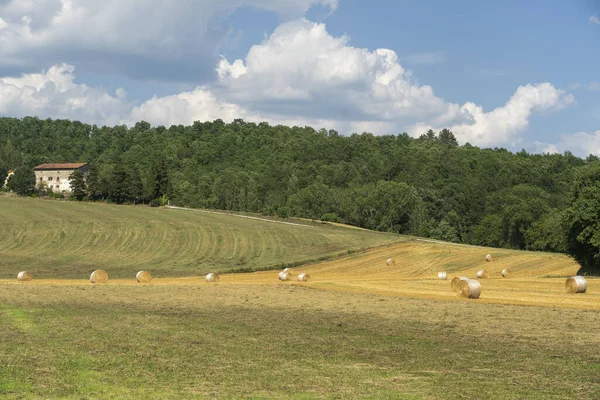 Zomer Landschap Langs Weg Naar Valico Scheggia Arezzo Toscane Italië — Stockfoto