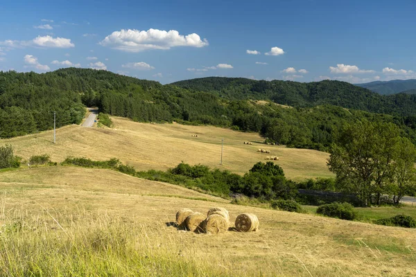 Berglandschap Langs Weg Van Passo Della Consuma Arezzo Toscane Italië — Stockfoto