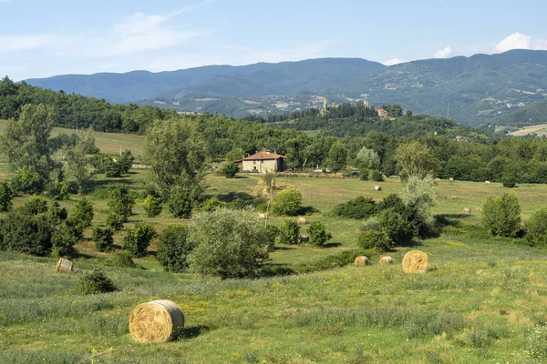 Krajobraz Górski Wzdłuż Drogi Passo Della Consuma Arezzo Toskania Włochy — Zdjęcie stockowe