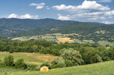 Yaz aylarında Passo della Consuma, Arezzo, Toskana, İtalya yolundaki dağ manzarası