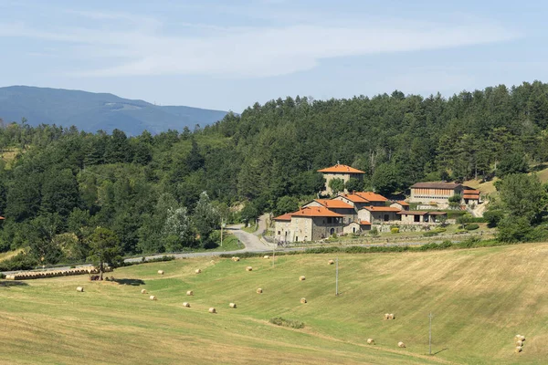 Berglandschap Langs Weg Van Passo Della Consuma Arezzo Toscane Italië — Stockfoto